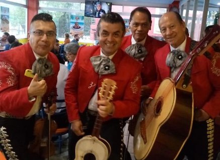 Mariachis DF